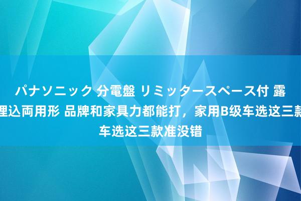 パナソニック 分電盤 リミッタースペース付 露出・半埋込両用形 品牌和家具力都能打，家用B级车选这三款准没错