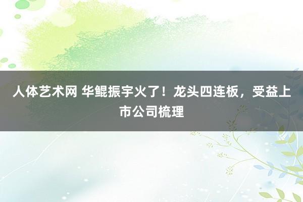 人体艺术网 华鲲振宇火了！龙头四连板，受益上市公司梳理