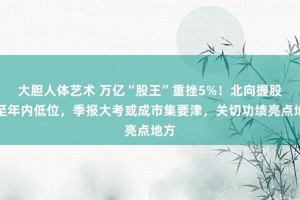 大胆人体艺术 万亿“股王”重挫5%！北向握股减至年内低位，季报大考或成市集要津，关切功绩亮点地方