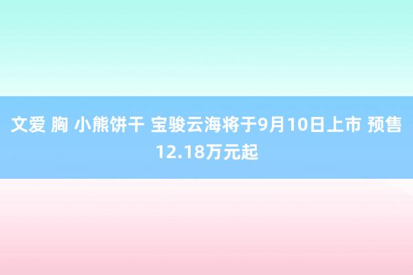 文爱 胸 小熊饼干 宝骏云海将于9月10日上市 预售12.18万元起