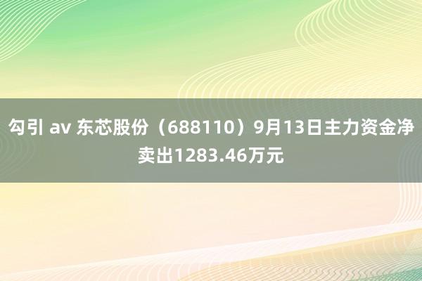 勾引 av 东芯股份（688110）9月13日主力资金净卖出1283.46万元