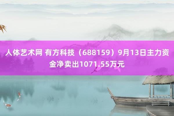 人体艺术网 有方科技（688159）9月13日主力资金净卖出1071.55万元