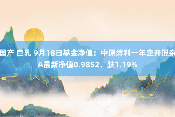 国产 巨乳 9月18日基金净值：中原磐利一年定开混杂A最新净值0.9852，跌1.19%