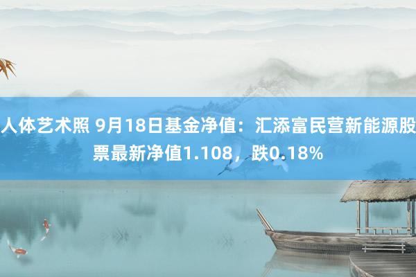 人体艺术照 9月18日基金净值：汇添富民营新能源股票最新净值1.108，跌0.18%