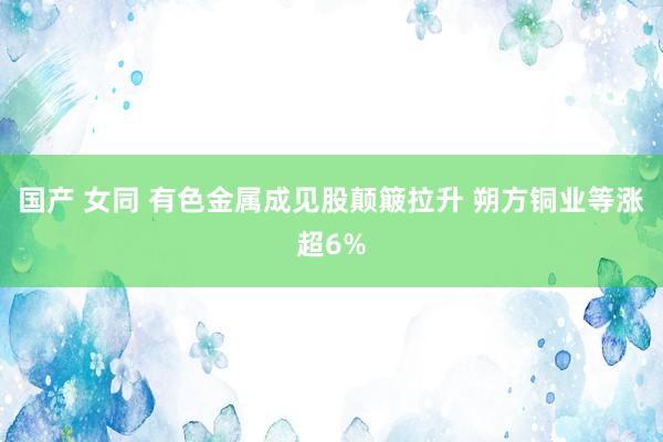 国产 女同 有色金属成见股颠簸拉升 朔方铜业等涨超6%