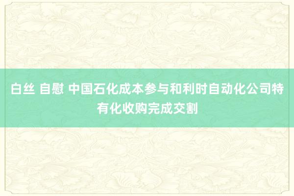 白丝 自慰 中国石化成本参与和利时自动化公司特有化收购完成交割