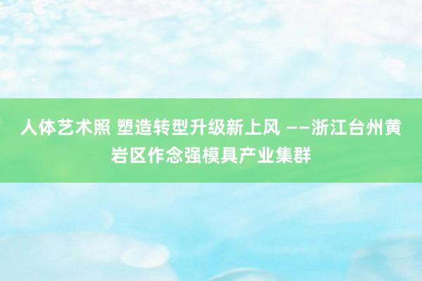 人体艺术照 塑造转型升级新上风 ——浙江台州黄岩区作念强模具产业集群