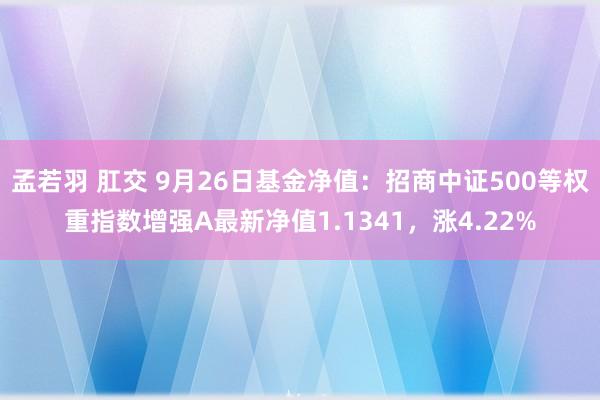 孟若羽 肛交 9月26日基金净值：招商中证500等权重指数增强A最新净值1.1341，涨4.22%