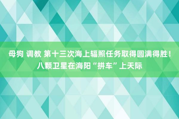 母狗 调教 第十三次海上辐照任务取得圆满得胜！八颗卫星在海阳“拼车”上天际