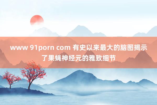 www 91porn com 有史以来最大的脑图揭示了果蝇神经元的雅致细节