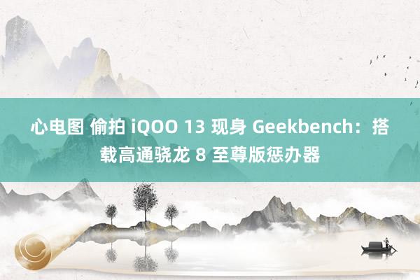 心电图 偷拍 iQOO 13 现身 Geekbench：搭载高通骁龙 8 至尊版惩办器