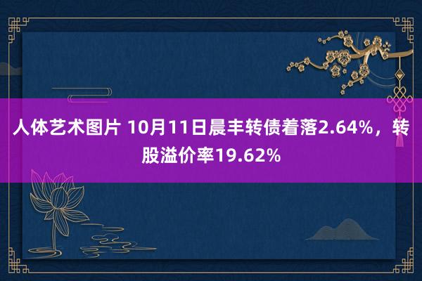 人体艺术图片 10月11日晨丰转债着落2.64%，转股溢价率19.62%