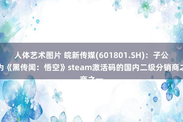 人体艺术图片 皖新传媒(601801.SH)：子公司为《黑传闻：悟空》steam激活码的国内二级分销商之一