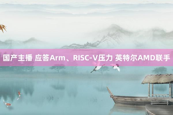 国产主播 应答Arm、RISC-V压力 英特尔AMD联手