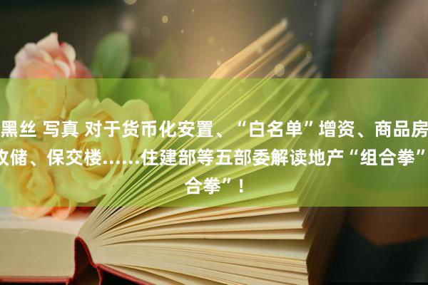 黑丝 写真 对于货币化安置、“白名单”增资、商品房收储、保交楼......住建部等五部委解读地产“组合拳”！