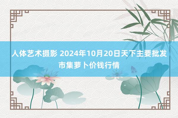 人体艺术摄影 2024年10月20日天下主要批发市集萝卜价钱行情