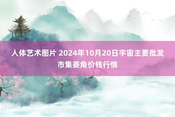 人体艺术图片 2024年10月20日宇宙主要批发市集菱角价钱行情