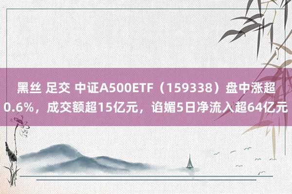 黑丝 足交 中证A500ETF（159338）盘中涨超0.6%，成交额超15亿元，谄媚5日净流入超64亿元