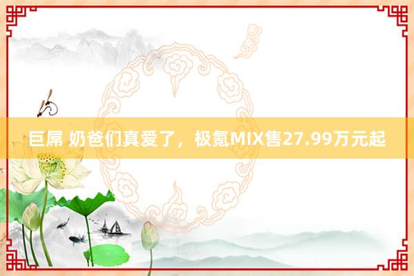 巨屌 奶爸们真爱了，极氪MIX售27.99万元起