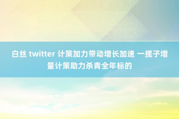 白丝 twitter 计策加力带动增长加速 一揽子增量计策助力杀青全年标的