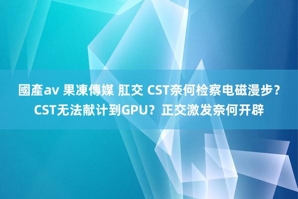 國產av 果凍傳媒 肛交 CST奈何检察电磁漫步？CST无法献计到GPU？正交激发奈何开辟