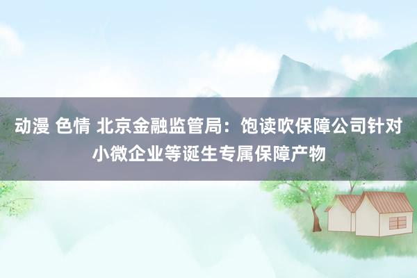 动漫 色情 北京金融监管局：饱读吹保障公司针对小微企业等诞生专属保障产物