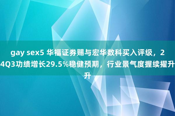 gay sex5 华福证券赐与宏华数科买入评级，24Q3功绩增长29.5%稳健预期，行业景气度握续擢升