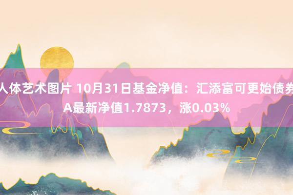 人体艺术图片 10月31日基金净值：汇添富可更始债券A最新净值1.7873，涨0.03%