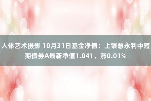 人体艺术摄影 10月31日基金净值：上银慧永利中短期债券A最新净值1.041，涨0.01%