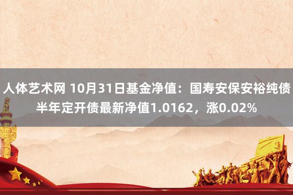 人体艺术网 10月31日基金净值：国寿安保安裕纯债半年定开债最新净值1.0162，涨0.02%