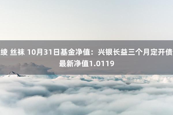 绫 丝袜 10月31日基金净值：兴银长益三个月定开债最新净值1.0119