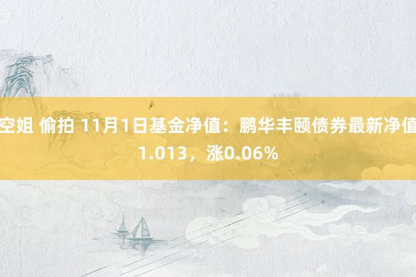 空姐 偷拍 11月1日基金净值：鹏华丰颐债券最新净值1.013，涨0.06%