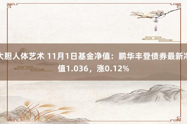 大胆人体艺术 11月1日基金净值：鹏华丰登债券最新净值1.036，涨0.12%