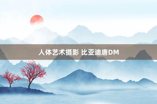 人体艺术摄影 比亚迪唐DM