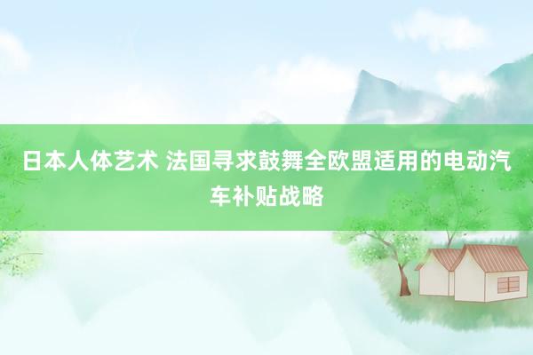 日本人体艺术 法国寻求鼓舞全欧盟适用的电动汽车补贴战略