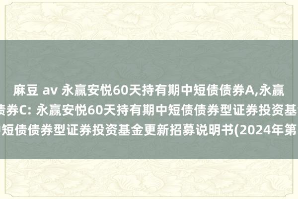 麻豆 av 永赢安悦60天持有期中短债债券A，永赢安悦60天持有期中短债债券C: 永赢安悦60天持有期中短债债券型证券投资基金更新招募说明书(2024年第1号)