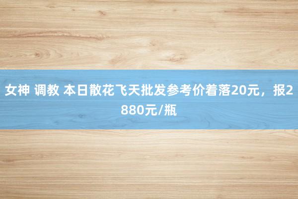 女神 调教 本日散花飞天批发参考价着落20元，报2880元/瓶