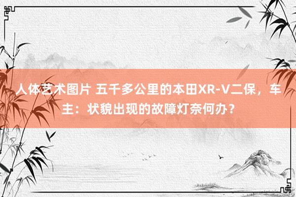 人体艺术图片 五千多公里的本田XR-V二保，车主：状貌出现的故障灯奈何办？