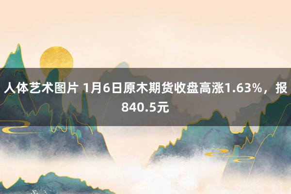 人体艺术图片 1月6日原木期货收盘高涨1.63%，报840.5元