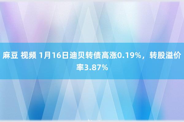 麻豆 视频 1月16日迪贝转债高涨0.19%，转股溢价率3.87%