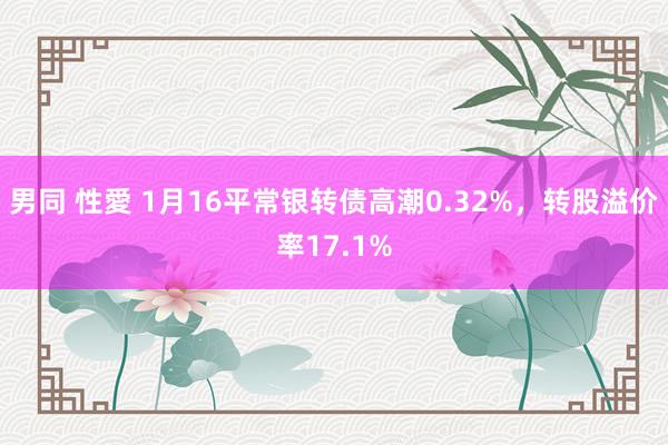 男同 性愛 1月16平常银转债高潮0.32%，转股溢价率17.1%