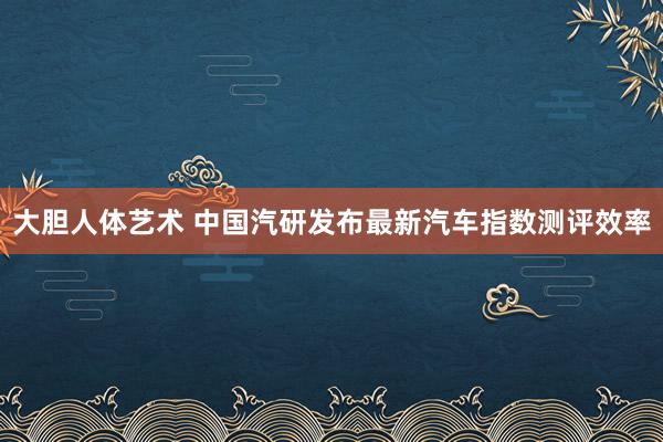 大胆人体艺术 中国汽研发布最新汽车指数测评效率