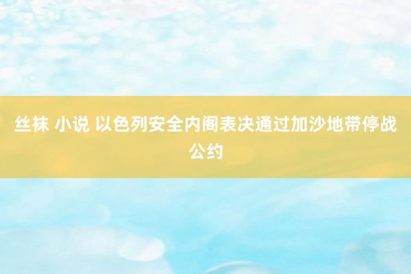 丝袜 小说 以色列安全内阁表决通过加沙地带停战公约